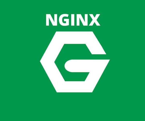 F5 Networks купила веб-сервер NGINX за 670 миллионов долларов (nginx logo green)