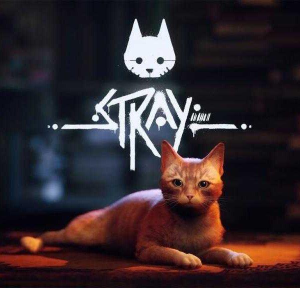 Stray выйдет на Mac в App Store и Steam 5 декабря (0vnhuquqz7sly8iw58d84366efk5qprs)
