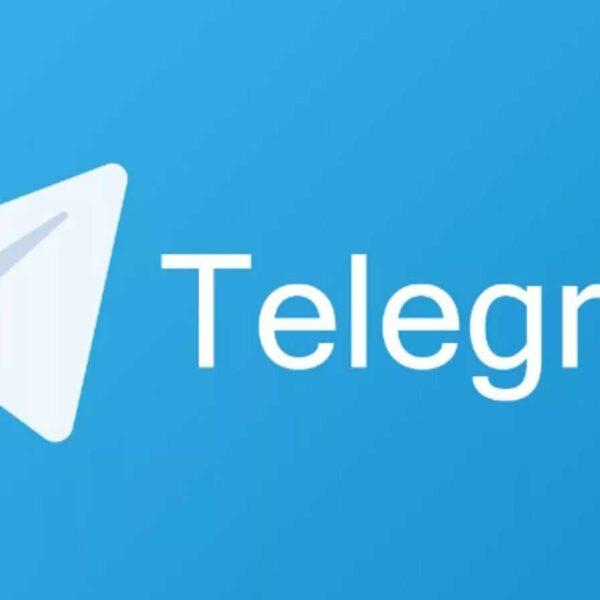 Telegram обновился – добавлено несколько новых функций и улучшений (1691676886 grizly club p kartinki emblema telegramma bez fona 7)