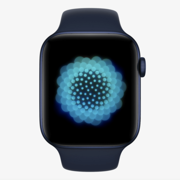 WWDC 2021: обновление watchOS 8. C часов можно даже отправить GIF (20210607180909 716753 1)