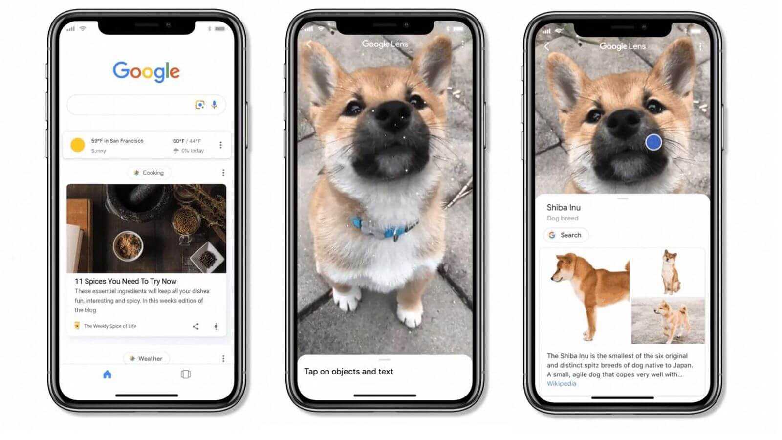Google Lens научился распознавать миллиард вещей Google Lens научился распознавать миллиард вещей