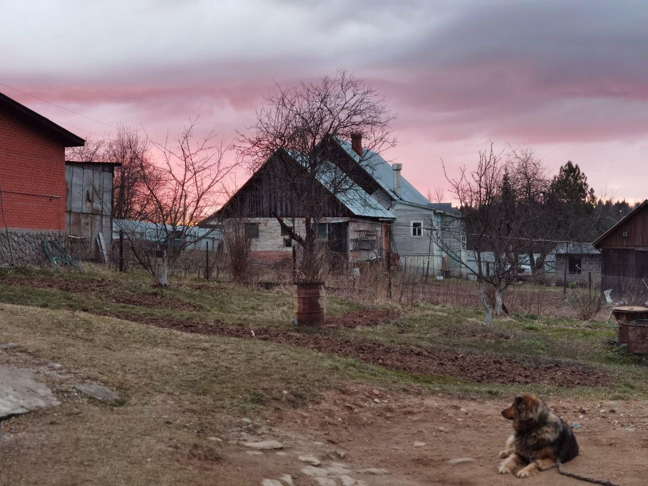 Флагманский камерофон. Обзор Huawei P40 Pro