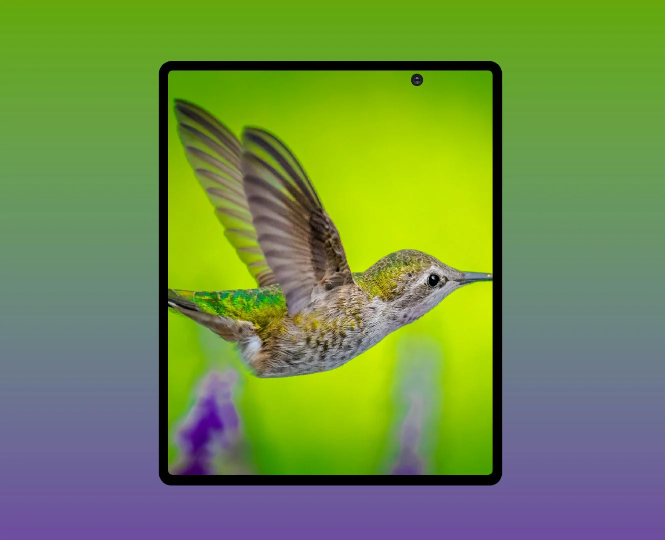 Samsung Galaxy Fold 2 прошёл сертификацию 3C
