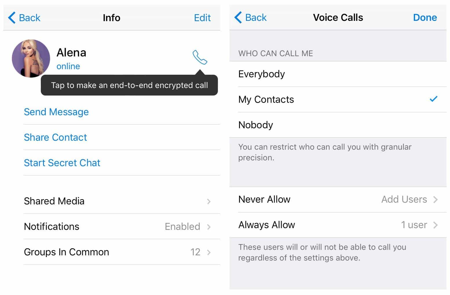 Как активировать звонки в Telegram (Telegram Calls 1)