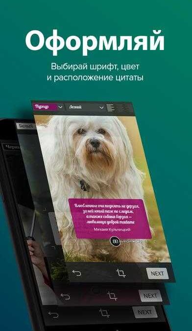 В приложении Поэтайзер нейросеть добавляет стихи на фото 8 screen696x696 2