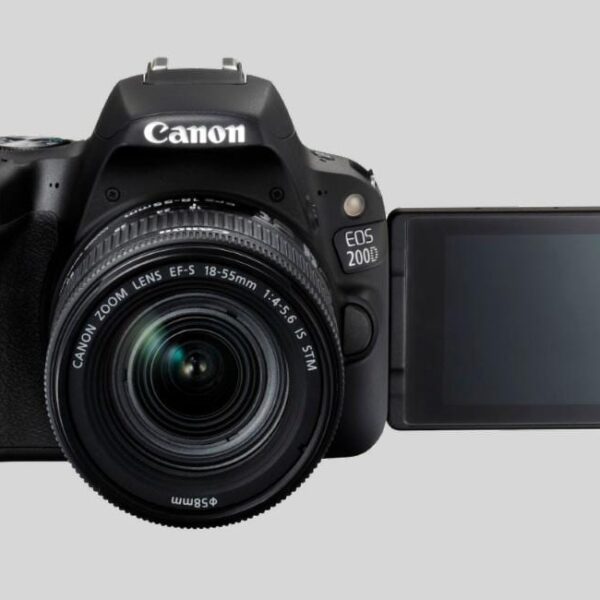 Представлены новые камеры Canon EOS 200D и EOS 6D Mark II (Canon EOS 6D Mark II)