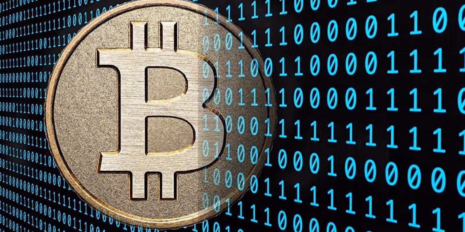 Курс биткоина резко упал 2 bitcoins hoteles