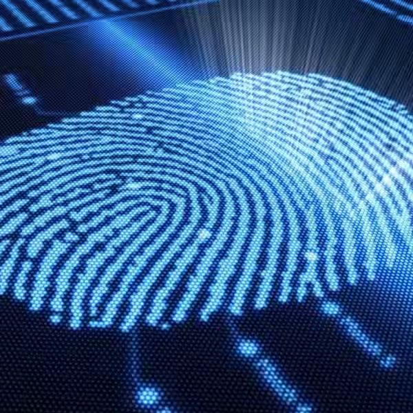 shutterstock 65440315 800.0