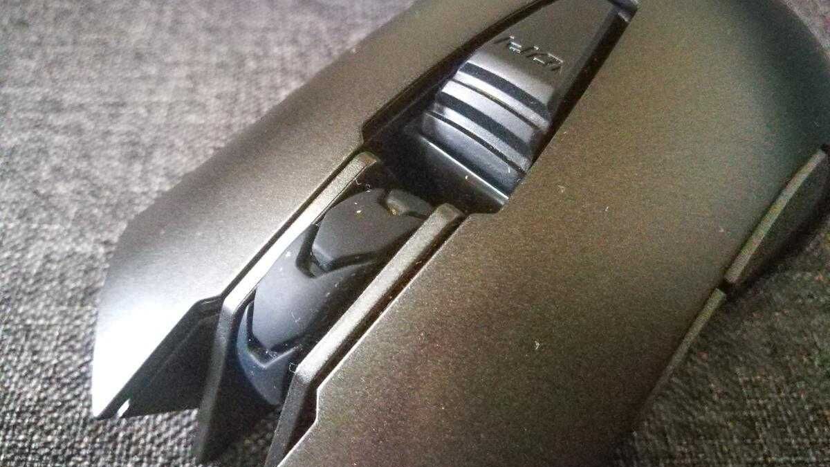 Cougar Revenger
