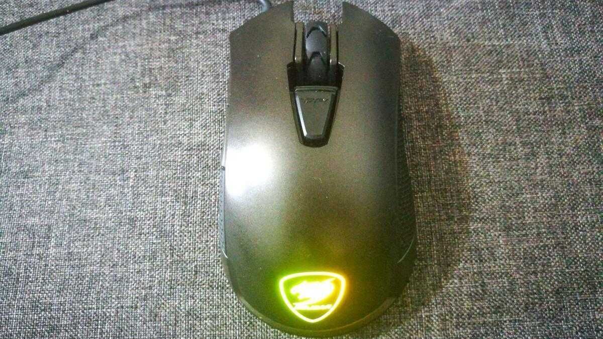 Cougar Revenger