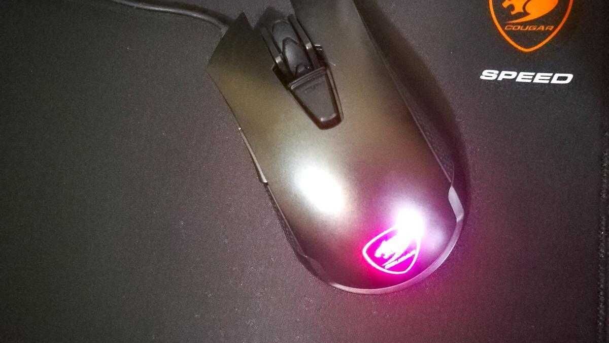 Cougar Revenger