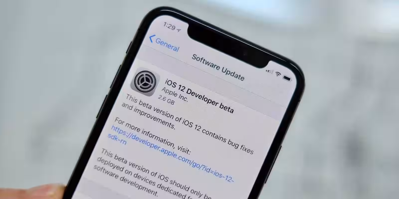ios 12 developer beta