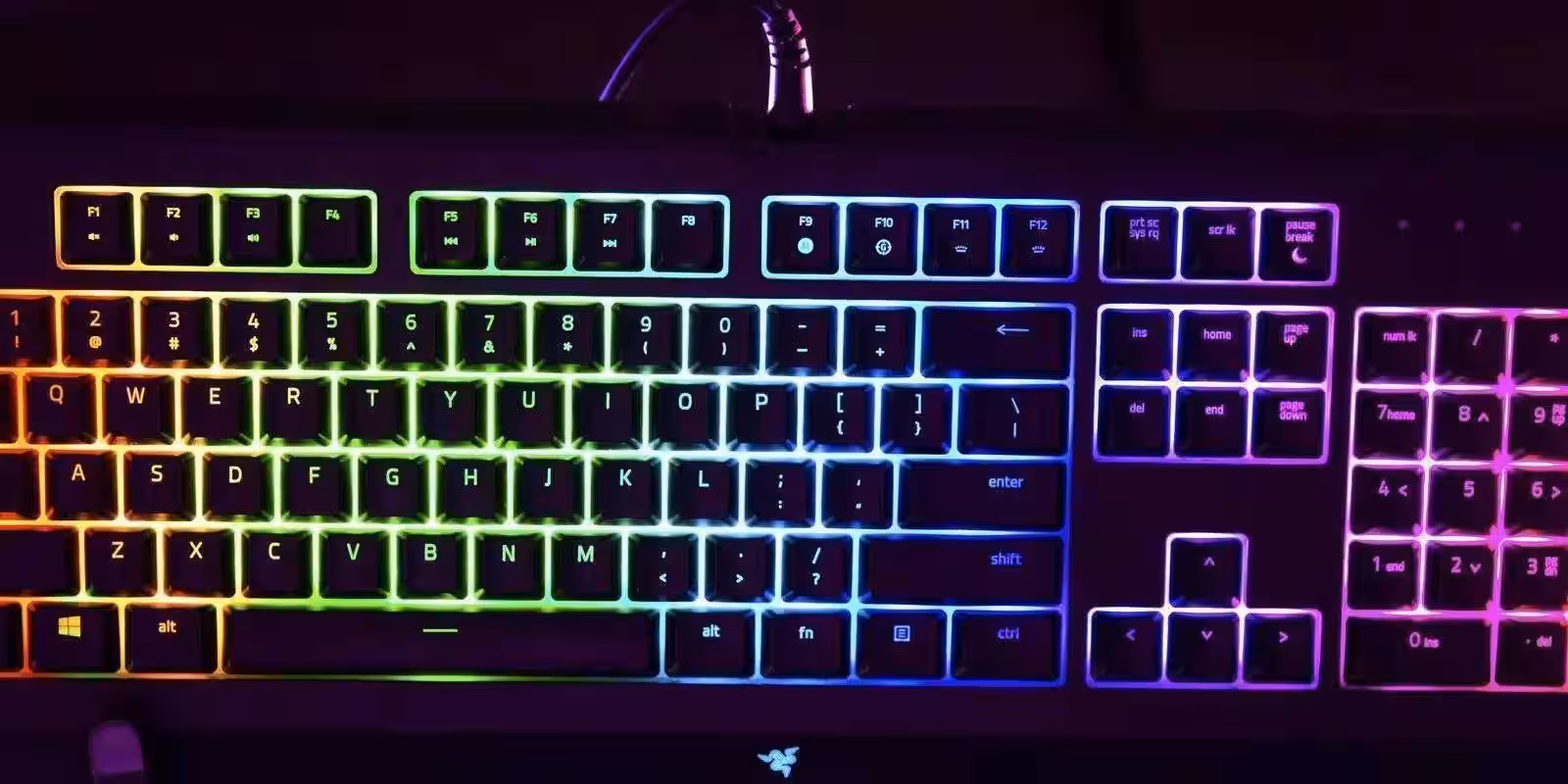 cynosa saturated for promo