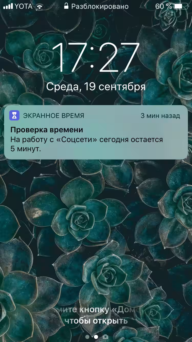Производительность, а не дизайн: обзор Apple iOS 12 для iPhone 22 img 2101