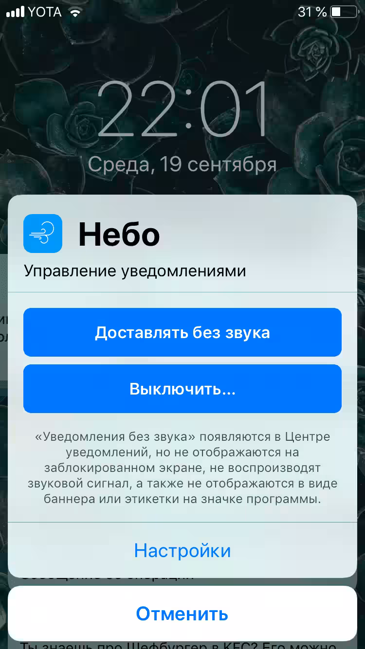 Производительность, а не дизайн: обзор Apple iOS 12 для iPhone 17 img 2117