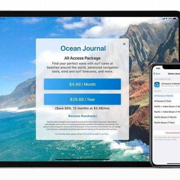 Apple ужесточила правила для платных подписок (Screen Shot 2019 01 28 at 2.16.19 PM.0.png)