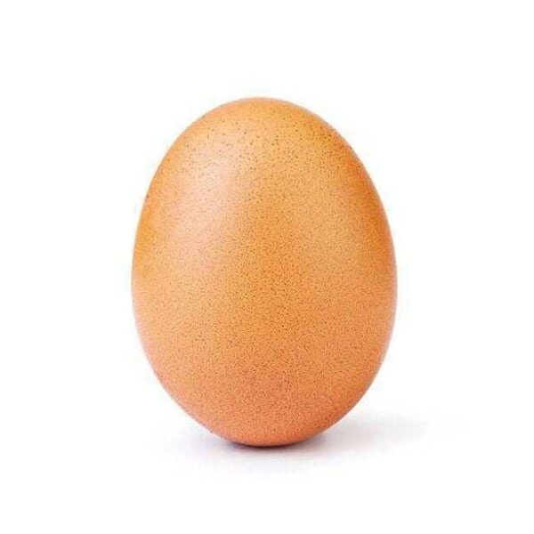 Фото яйца побило рекорд Кайли Дженнер по лайкам в Instagram (instagram egg.0 2)