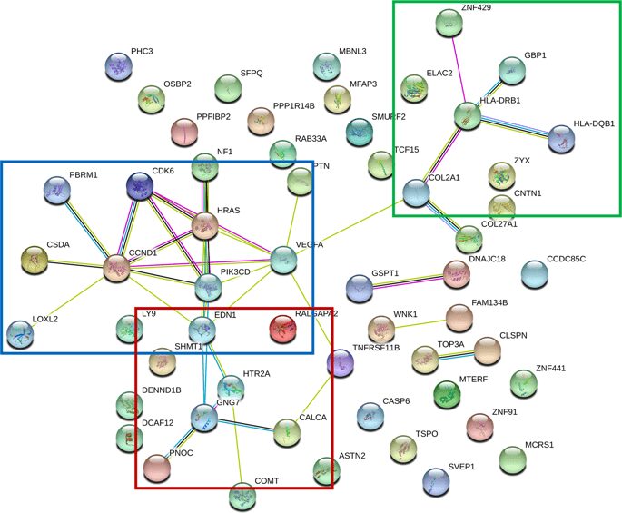 41380 2018 345 Fig3 HTML