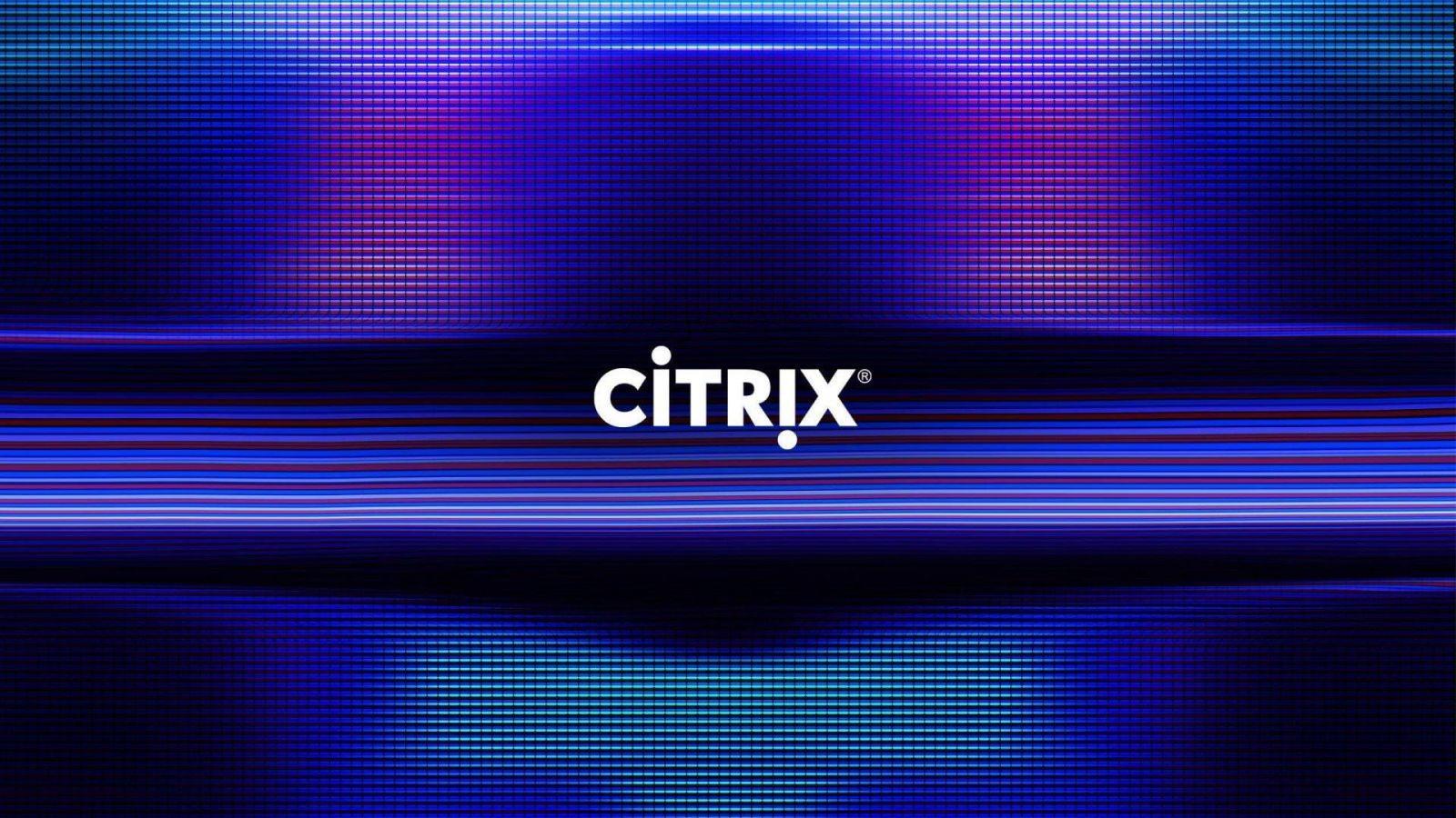 Хакеры украли 6ТБ данных, взломав Citrix (citrix brand logo digital fabric blue)