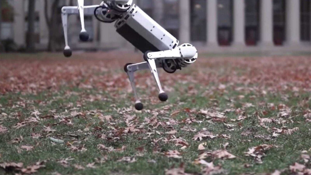 Робот MIT Mini Cheetah научился делать сальто 1 dims 7