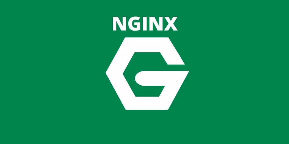 F5 Networks купила веб-сервер NGINX за 670 миллионов долларов 3 nginx logo green