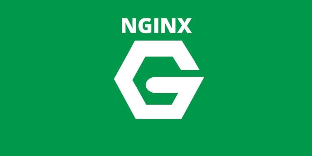 F5 Networks купила веб-сервер NGINX за 670 миллионов долларов 3 nginx logo green