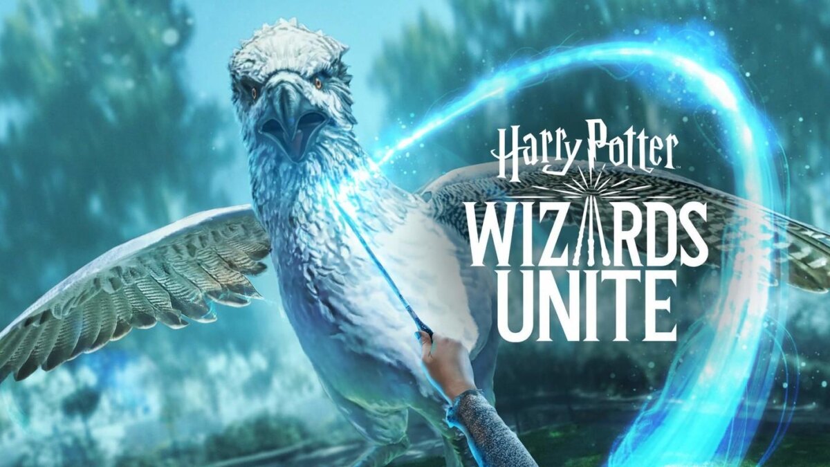 wizards unite birdy banner
