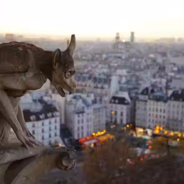 1555354154 717447 1555361417 noticia normal