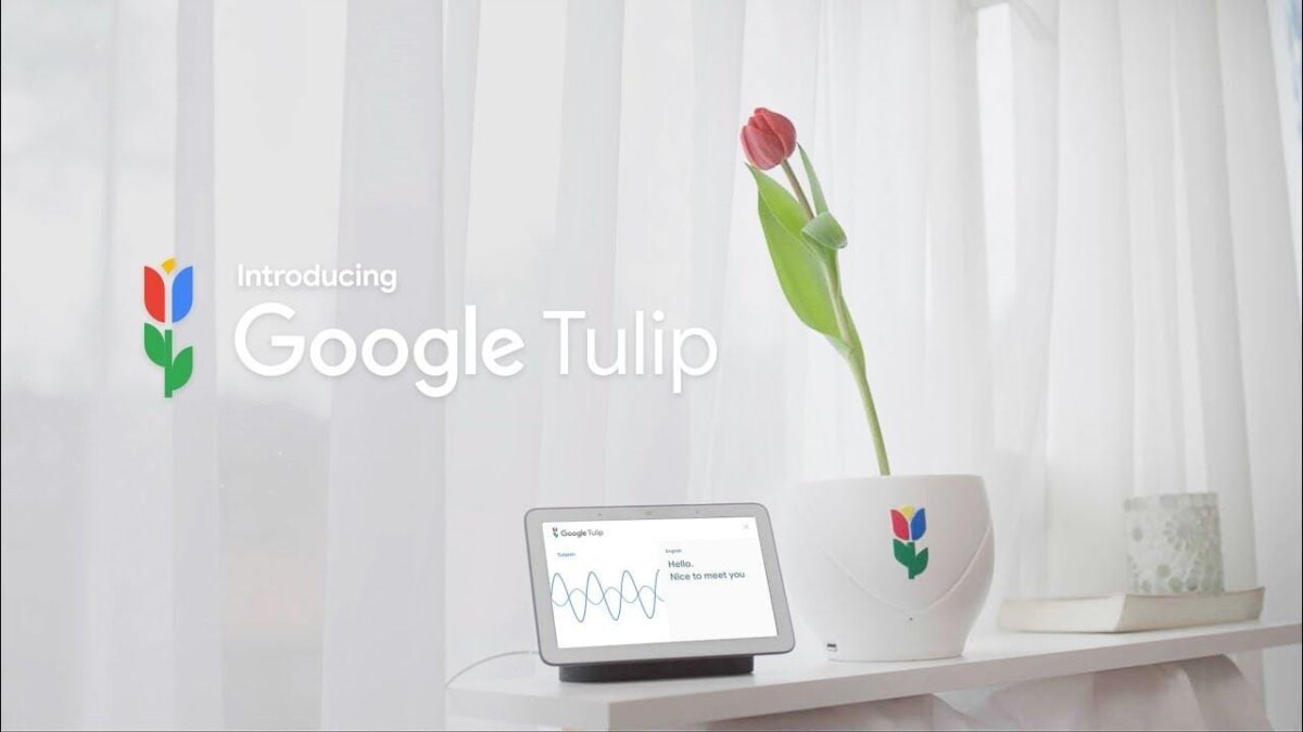 1 апреля: умное устройство Google Tulip научилось разговаривать с растениями 1 maxresdefault 6