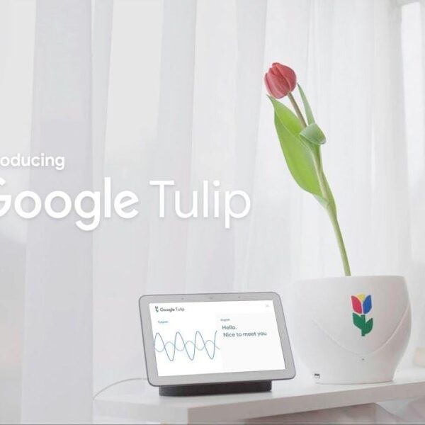 1 апреля: умное устройство Google Tulip научилось разговаривать с растениями (maxresdefault 6)