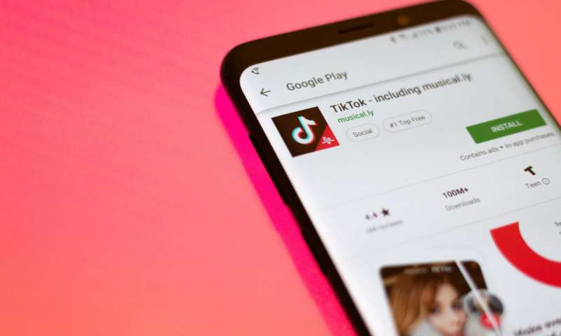 Google удалила TikTok из индийского Google Play по требованию суда (tiktokthewor)