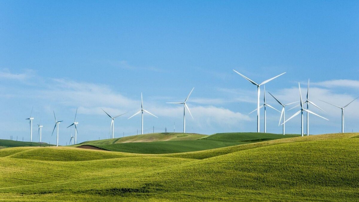 85337e280e458c440f7e3b70c709fcea