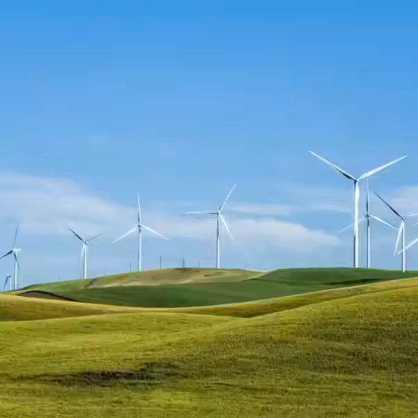 85337e280e458c440f7e3b70c709fcea