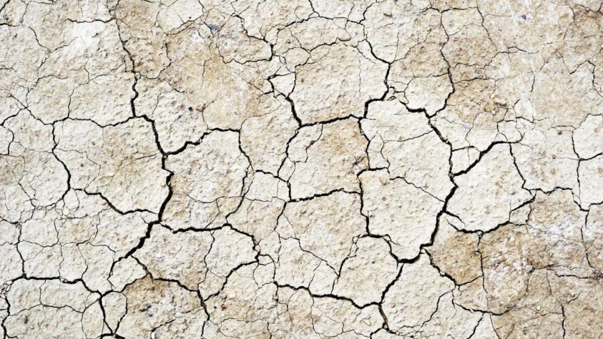 Последствия Калифорнийского землетрясения видно из космоса 2 creative wallpaper earthquake wallpaper 851462800