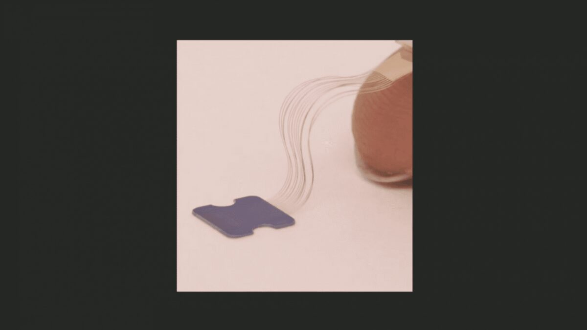 Микрочип Neuralink с подключением к пластику