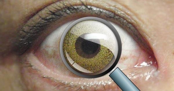 Ученые создали контактную линзу, которая позволяет увеличивать изображение (zoom)