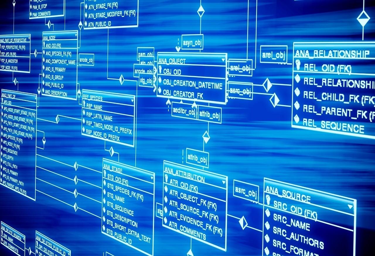 SAP запускает платформу для обработки гигантского потока информации (1 6)