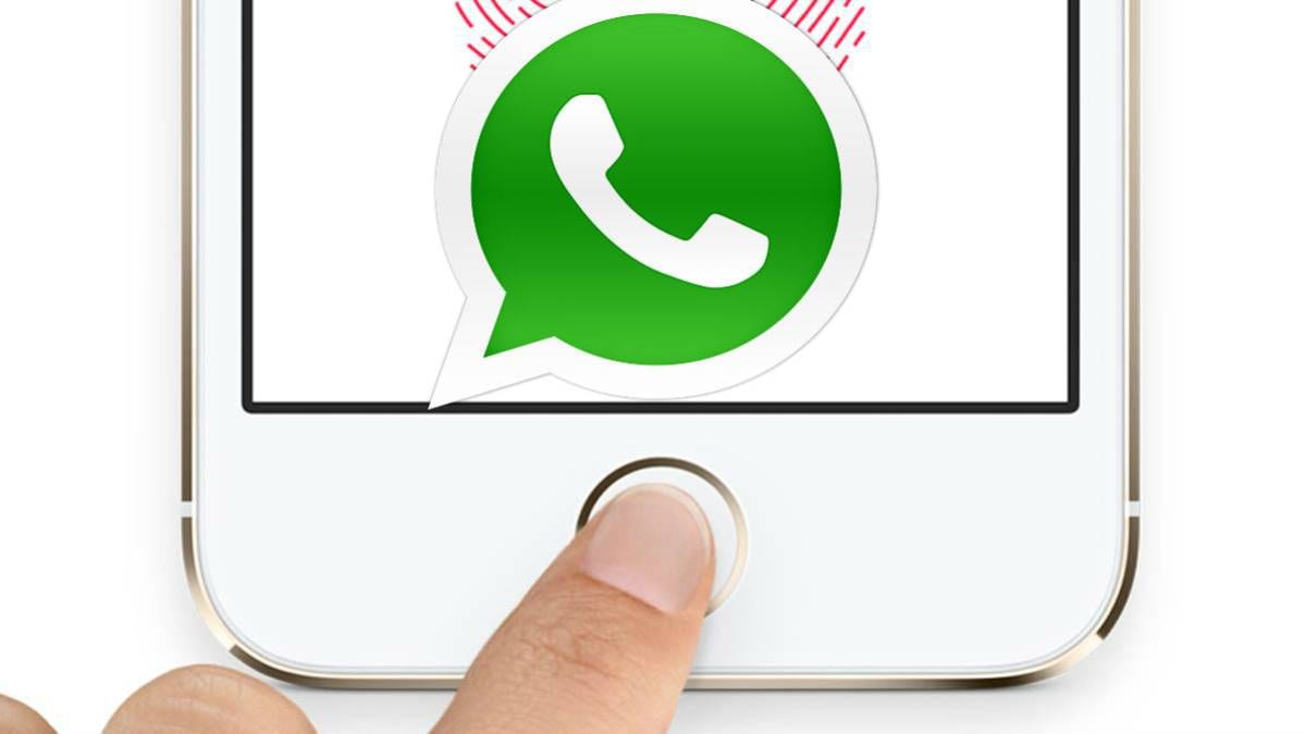 WhatsApp тестирует идентификацию по отпечатку пальцев (1540285572 567171 1540285845 noticia normal)