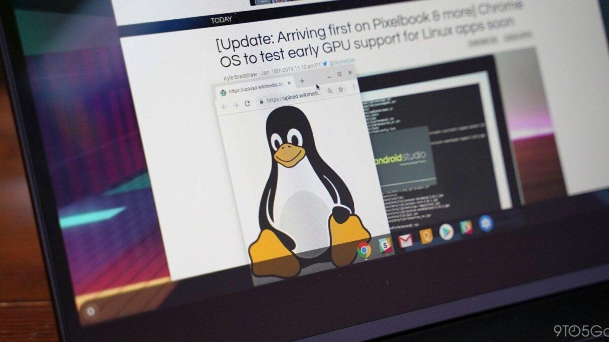 chrome os linux 1