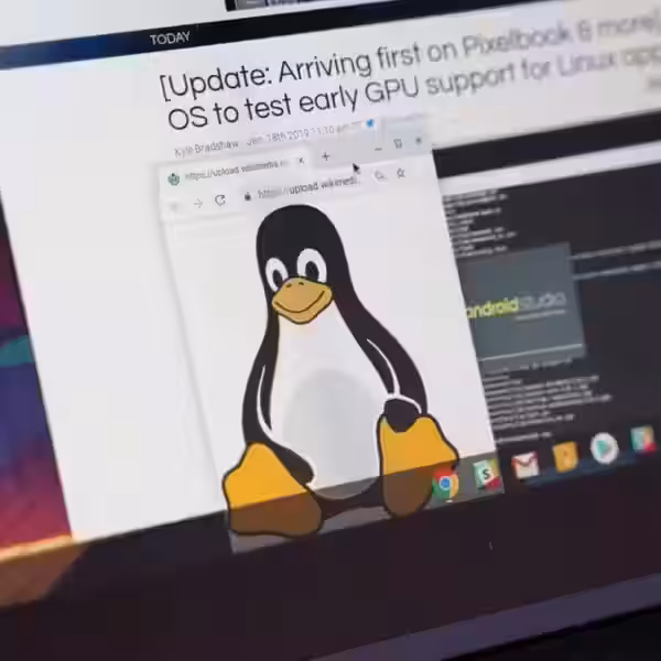 chrome os linux 1