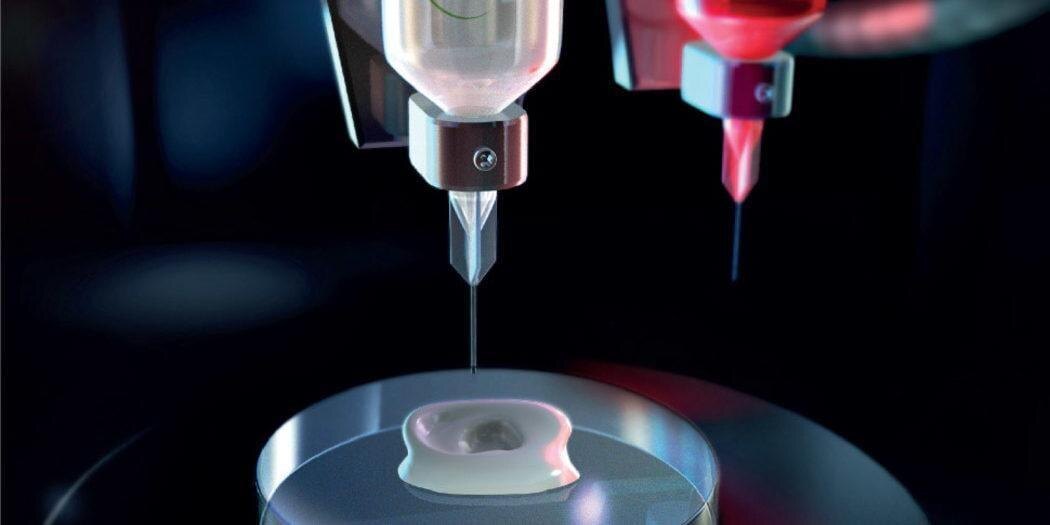 ed83cae5135aa62b181165af0854a5a8.jpg.pagespeed.ce .szn0lr 3q4