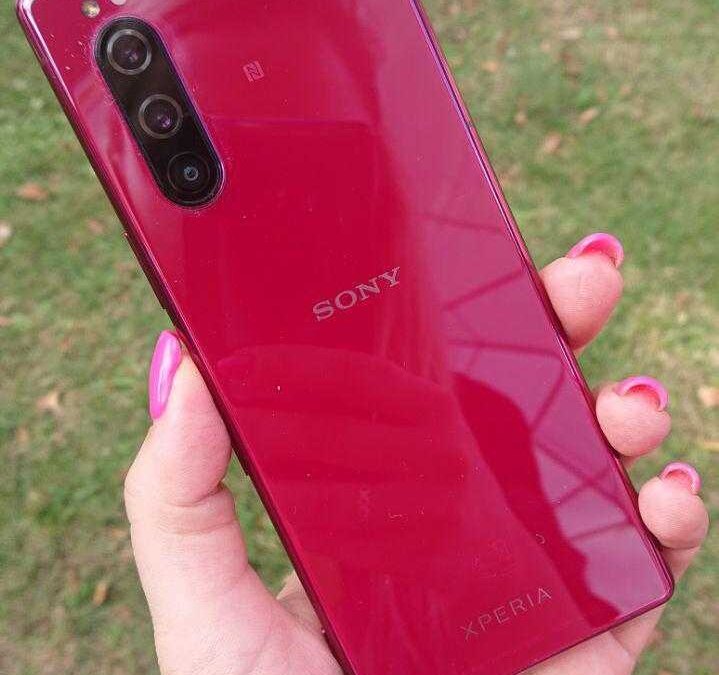 photo 2019 09 05 16 13 45