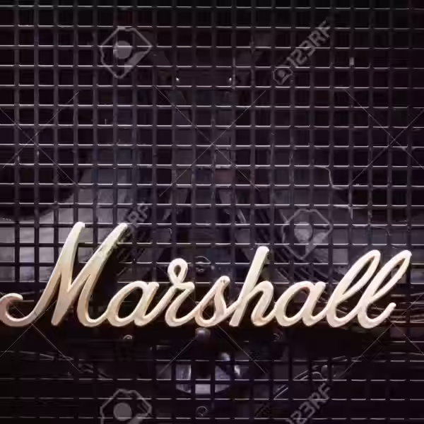 104637979 cacak serbia december 13 2017 marshall logo on old bass speaker with metal net in front of woofers
