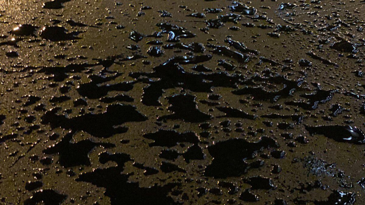 photo 2019 10 31 14 18 31