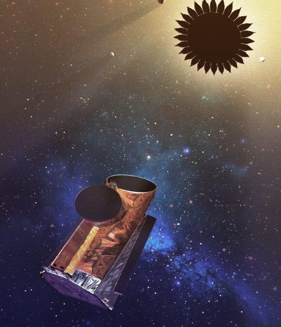 image 7959 habex1 768x995 1