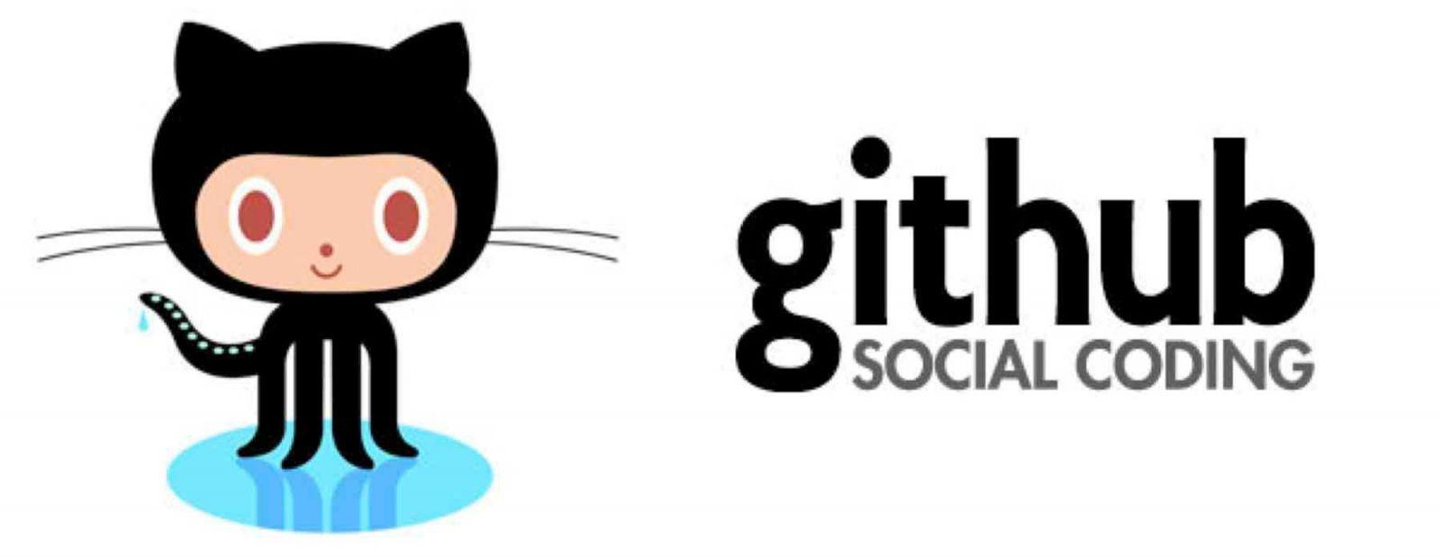 В России предложили создать аналог GitHub (github logo)
