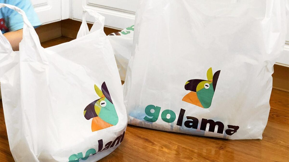 В России закрылся сервис по доставке продуктов Golama 2 golama review photo app delivery 1