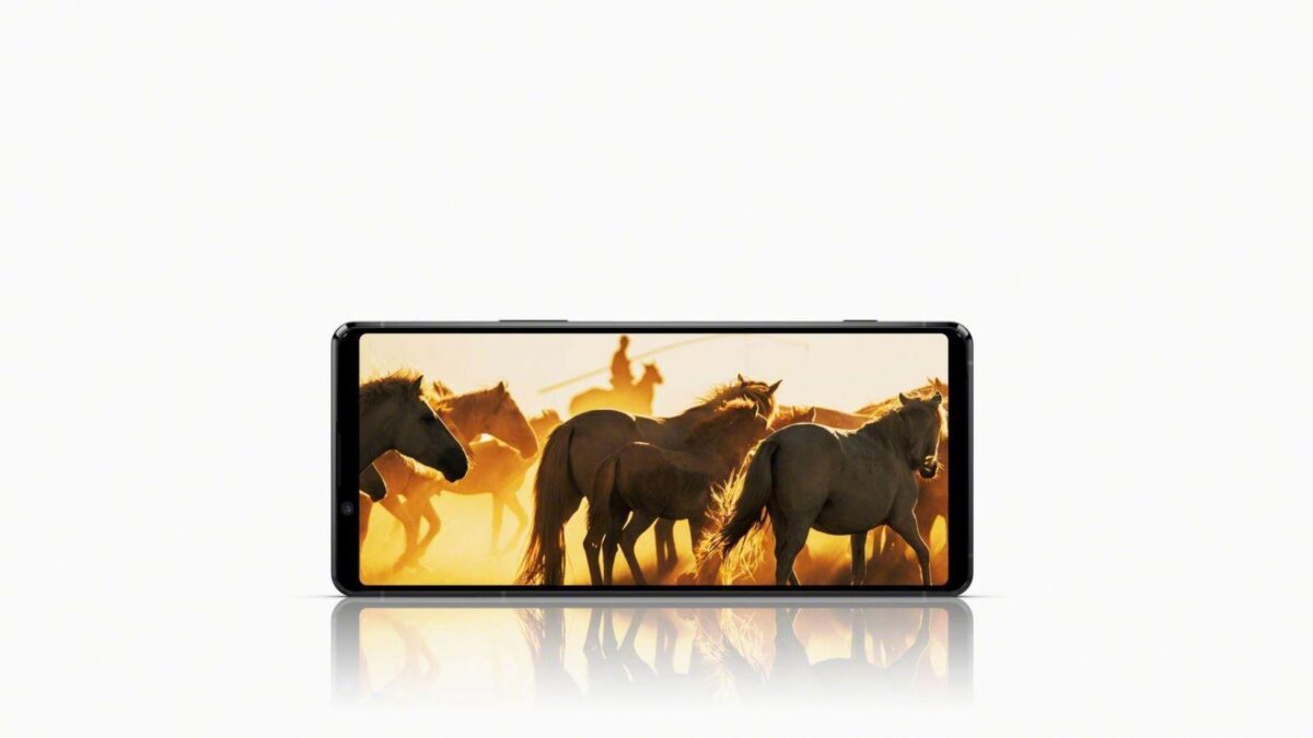 203 display main black large scaled