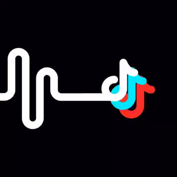 tiktok musicly ta scaled 1