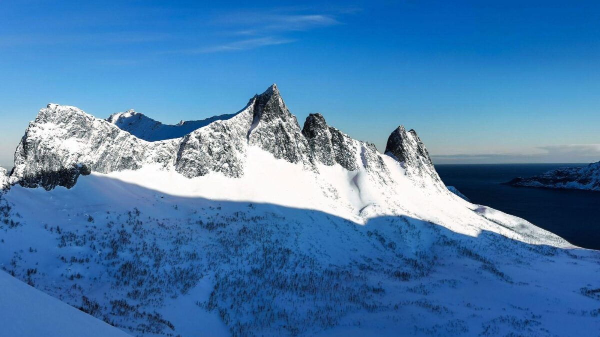 Первые фото с нового смартфона Huawei P40 Pro 13 10385453 scaled